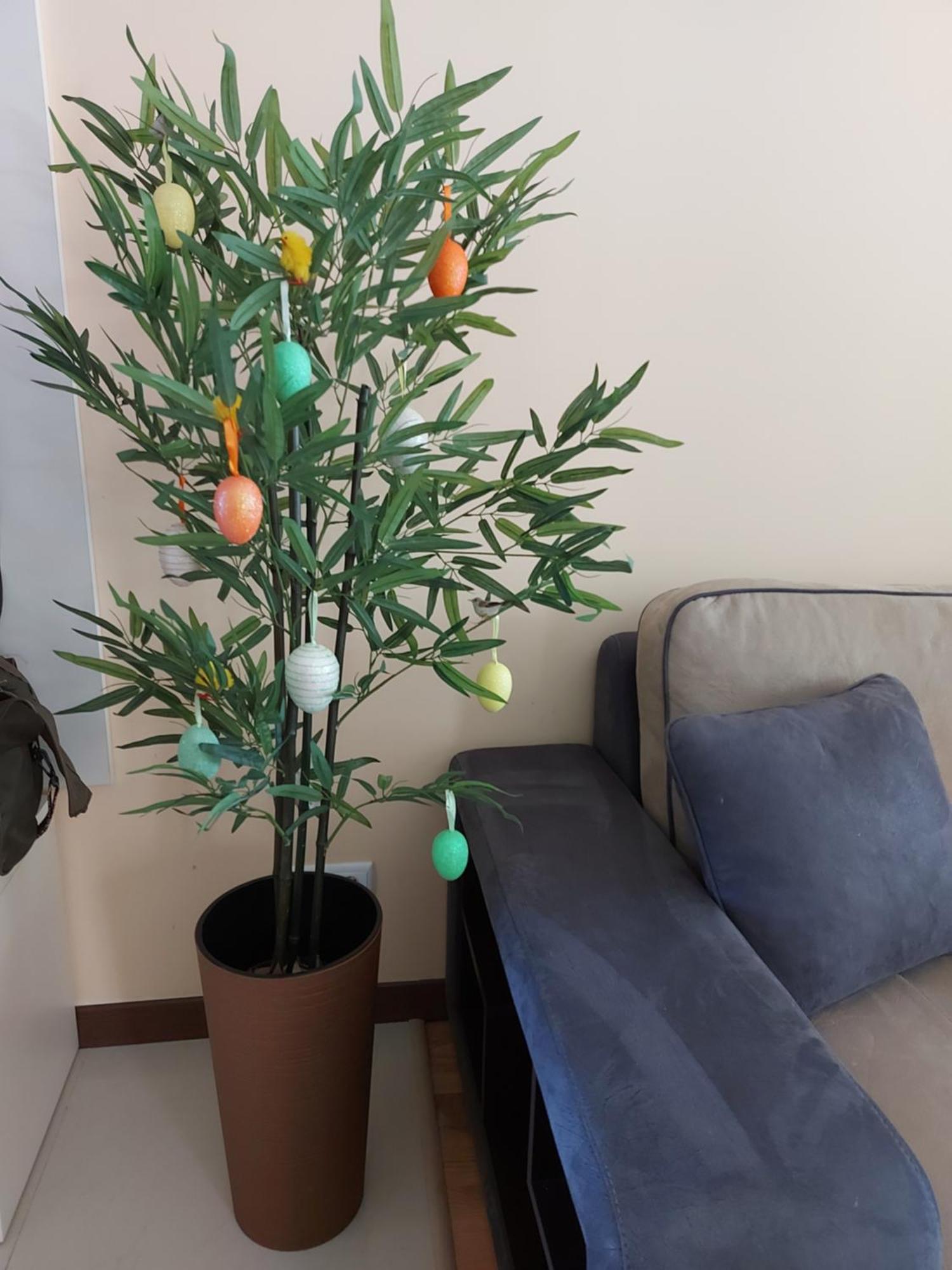 Terra Complex -D6 - Balkan Private Apartment-Spa Sking Golf And Relax بانسكو المظهر الخارجي الصورة